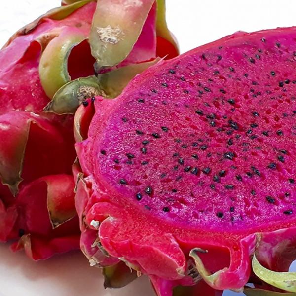 hSt[c c yhSt[c iԓjz |bgc