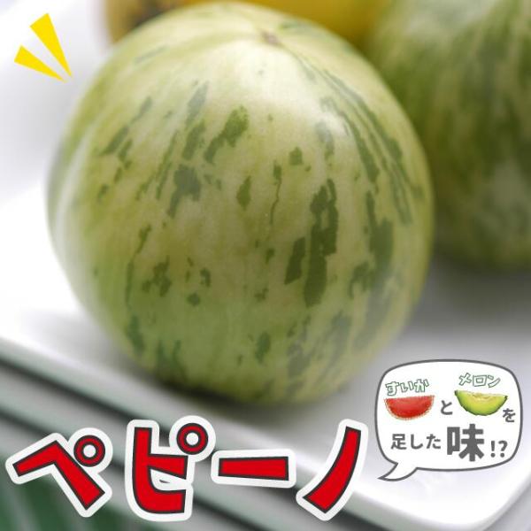 ペピーノ 苗 【ペピーノ】 3.5号ポット苗