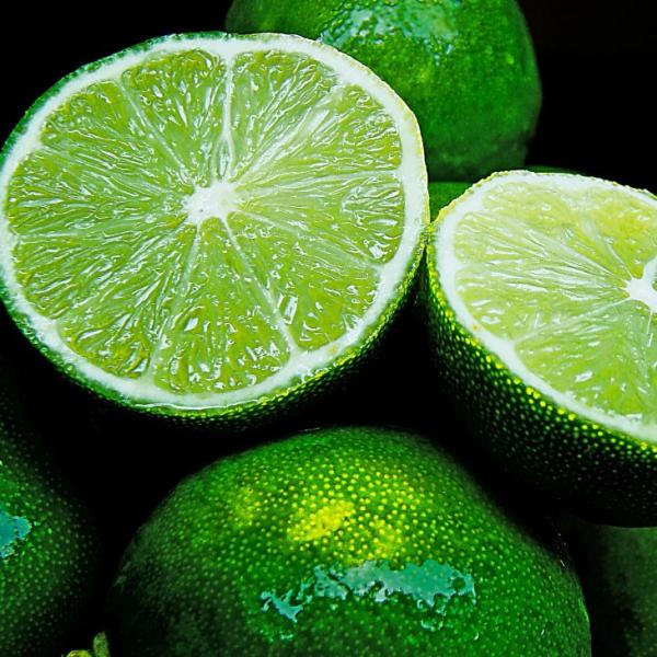  X_` c yȂ X_`z 1N ڂ |bgc ij[ܕtj kCE͑KpOłB