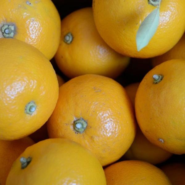 _C_C c y i_C_Cjz 1N ڂ |bgc