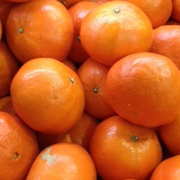 D2Nc ݂ c yׂɂ΂ mo^inz 2Nc ڂ