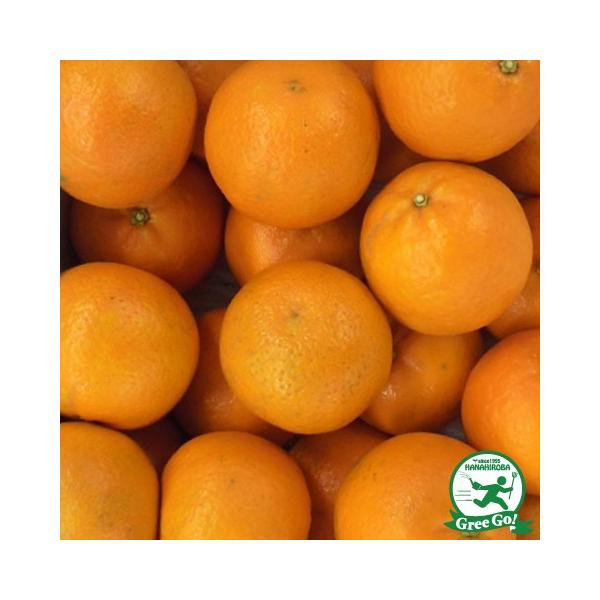 D2Nc 񂩂 c y^J 1z 2Nc ڂ