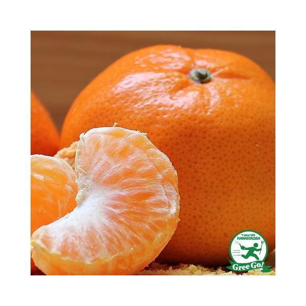 D2Nc ݂ c yRg i܂ׂɂ킹jz 2Nc ڂ