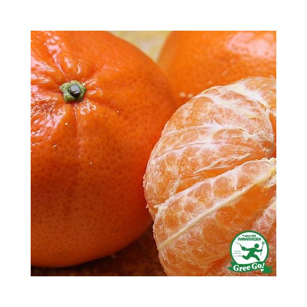 ݂ c yL iƂӂ킹jz 1N ڂ |bgc