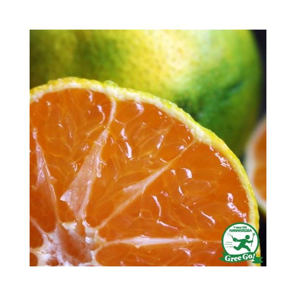 ݂ c y i͂炮킹jz 1N ڂ |bgc