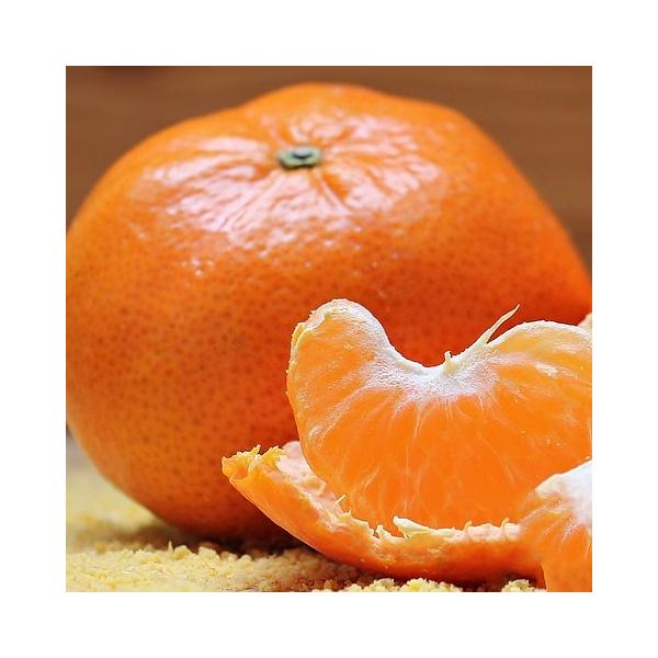 ݂ c y ijz 1N ڂ |bgc