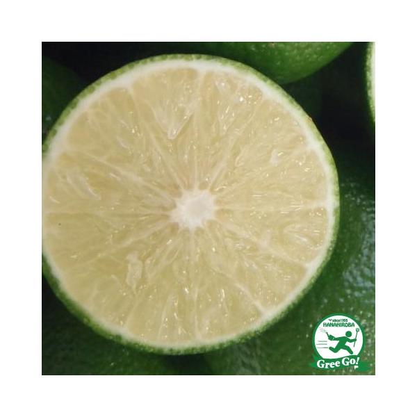 ւׂ c yq |z 1N ڂ |bgc