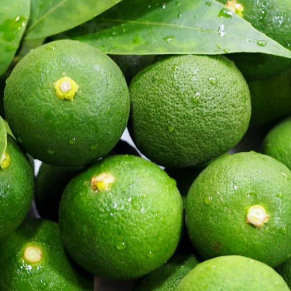 D2Nc _k c y i񂱂jz 2Nc ڂ