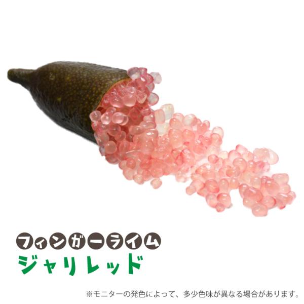 hanahiroba_tn03-149n001-01