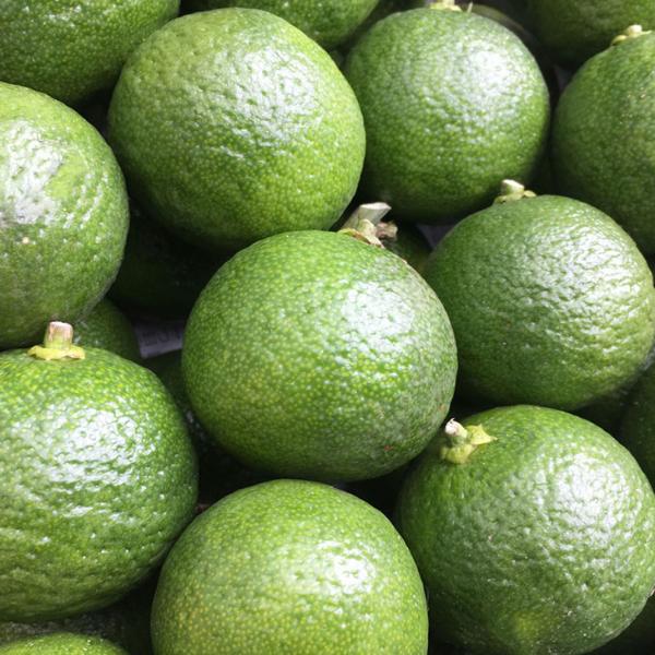  䂸 c y䂸z 1N ڂ |bgc