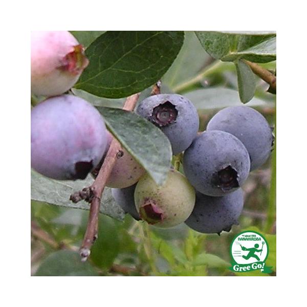 u[x[ c y_E im[UnCubVnjz 3N ڂؕc