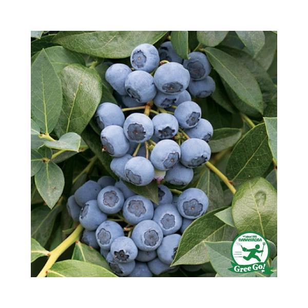 u[x[ c yuWb^ im[UnCubVnjz 2N }ؕc