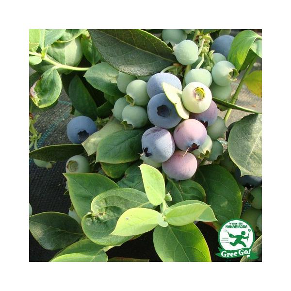 u[x[ c yu[C im[UnCubVnjz 2N }ؕc