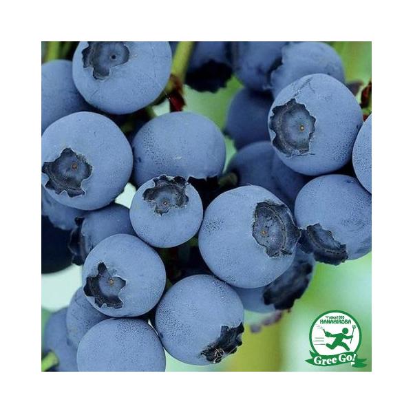 u[x[ c yNC}bNX irbgACnjz 2N }ؕc