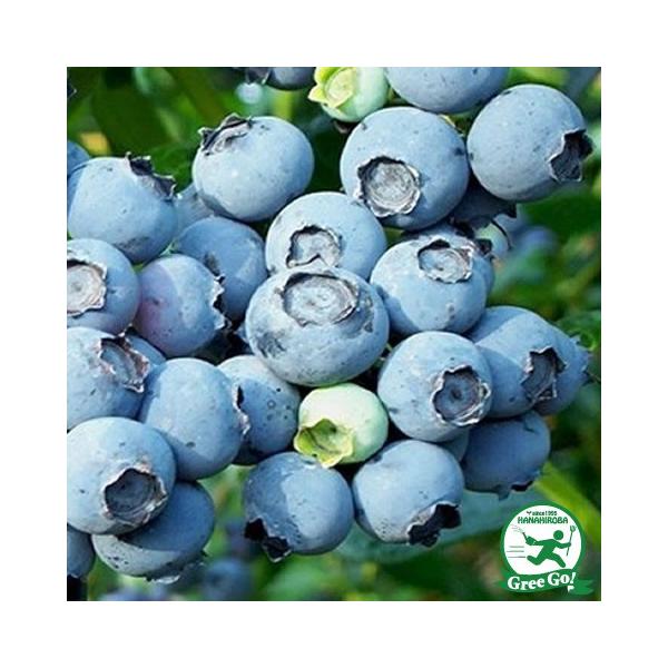 u[x[ c yfCg irbgACnjz 2N }ؕc