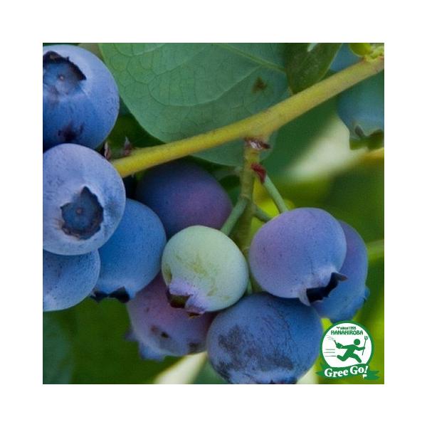 u[x[ c ymrX irbgACnjz 2N }ؕc