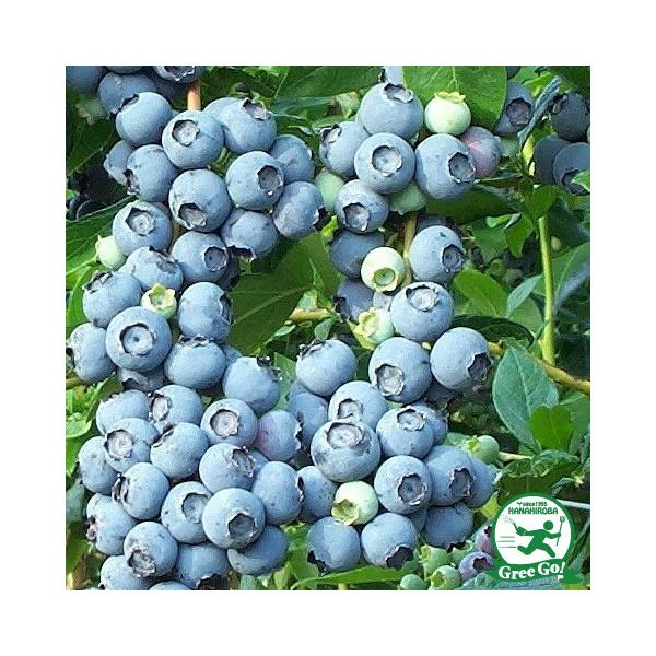  u[x[ c yohEB irbgACnjz 2N }ؕc ij[ܕtj kCE͑KpOłB