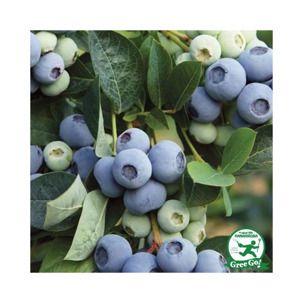  u[x[ c yIj[ iTUnCubVnjz 2N }ؕc ij[ܕtj kCE͑KpOłB