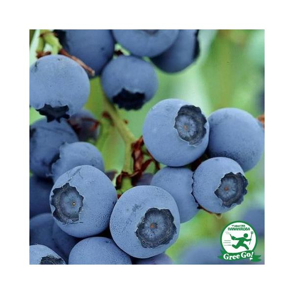  u[x[ c yW[WAWF iTUnCubVnjz 2N }ؕc ij[ܕtj kCE͑KpOłB