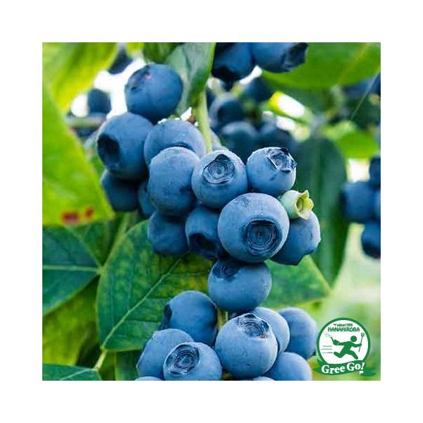 u[x[ c yqg~ iTUnCubVnjz 2N }ؕc