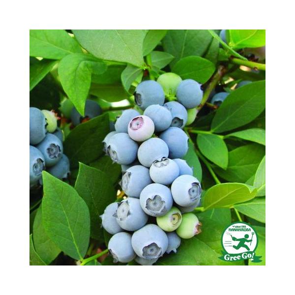  u[x[ c y`h[ im[UnCubVnjz 2N ڂؕc ij[ܕtj kCE͑KpO