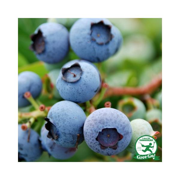  u[x[ c yXp^ im[UnCubVnjz 2N ڂؕc ij[ܕtj kCE͑KpO