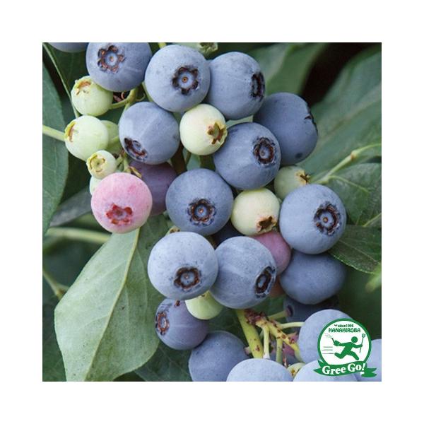  u[x[ c yuWb^ im[UnCubVnjz 2N ڂؕc ij[ܕtj kCE͑KpO