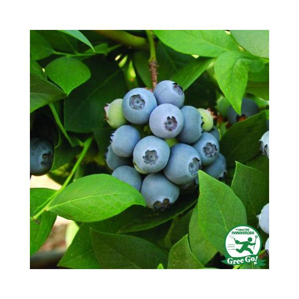  u[x[ c yu[J im[UnCubVnjz 2N ڂؕc ij[ܕtj kCE͑KpO