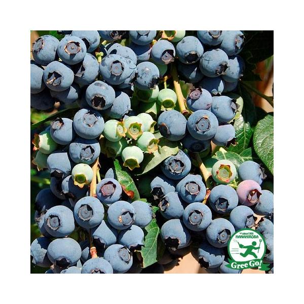  u[x[ c yGUxX im[UnCubVnjz 2N ڂؕc ij[ܕtj kCE͑KpO