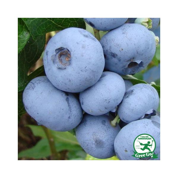  u[x[ c yRY im[UnCubVnjz 2N }ؕc ij[ܕtj kCE͑KpOłB