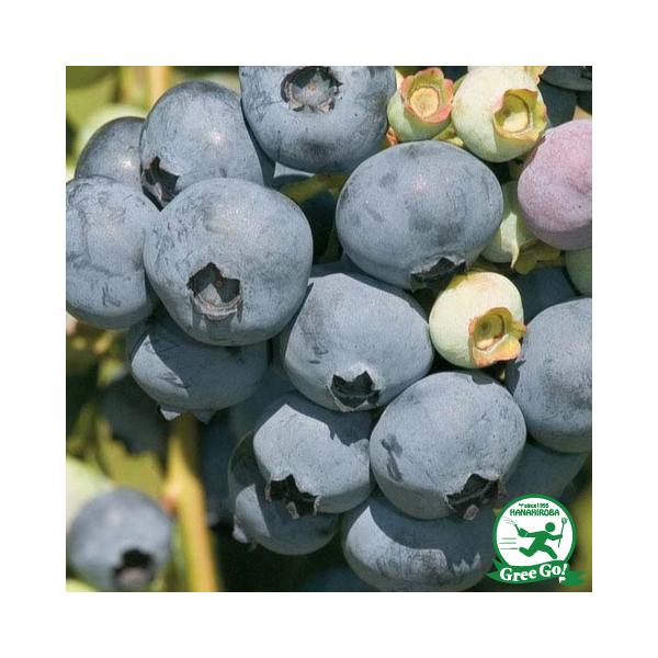  u[x[ c y VGim[UnCubVnj z 2N }ؕc ij[ܕtj kCE͑KpOłB