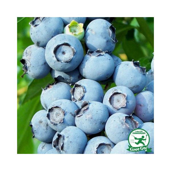 u[x[ c y TCYim[UnCubVnj z 2N ڂؕc