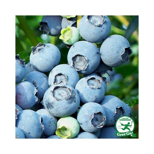  u[x[ c yfj[Xim[UnCubVnjz 2N ڂؕc ij[ܕtj kCE͑KpOłB