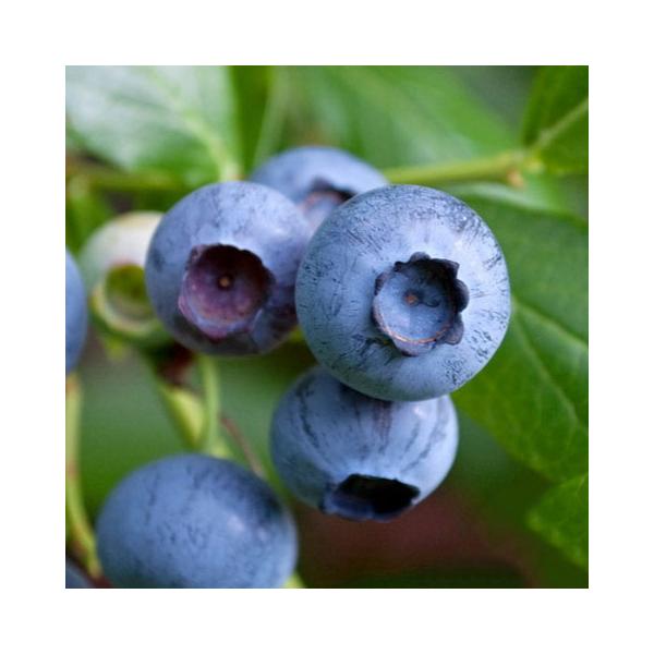 u[x[ c y u[Nbvim[UnCubVnj z 2N }ؕc