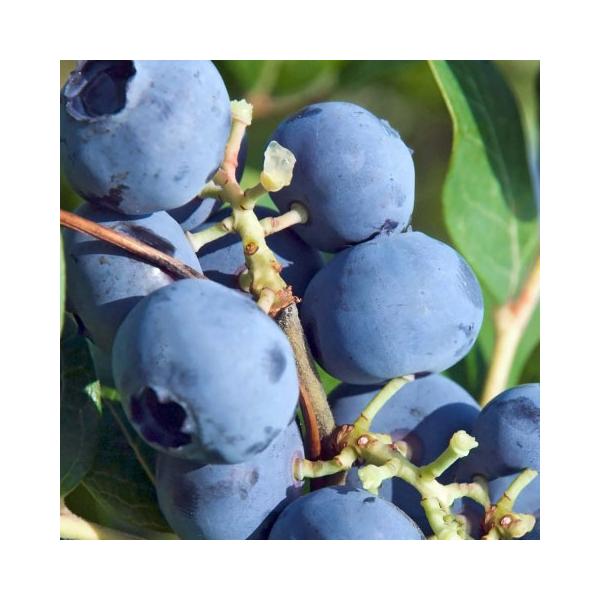 u[x[ c y u[wuim[UnCubVnj z 2N }ؕc