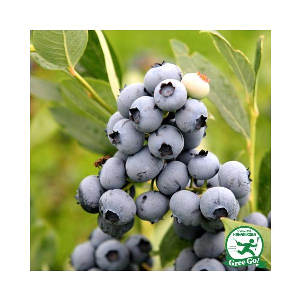 u[x[ c y{[iXim[UnCubVnjz 3N ڂؕc