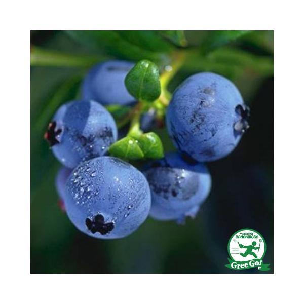  u[x[ c yKV[im[UnCubVnjz 2N ڂؕc ij[ܕtj kCE͑KpOłB