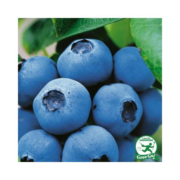  u[x[ c ykCim[UnCubVnjz 2N ڂؕc ij[ܕtj kCE͑KpOłB