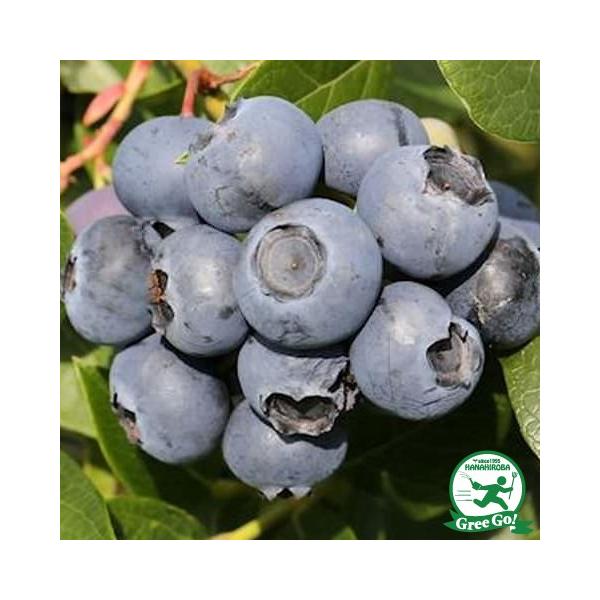 u[x[ c yԐim[UnCubVnjz 3N ڂؕc