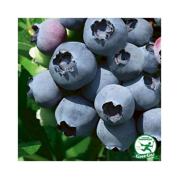  u[x[ c yu[S[him[UnCubVnjz 2N ڂؕc ij[ܕtj kCE͑KpO