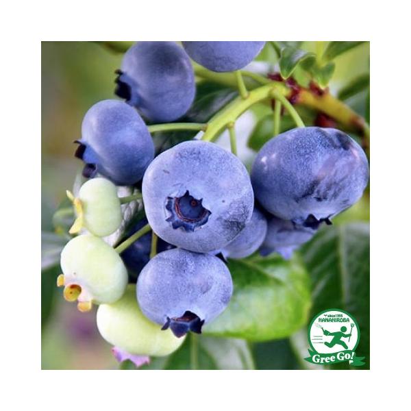  u[x[ c yu[WFC im[UnCubVnjz 2N }ؕc ij[ܕtj kCE͑KpOłB