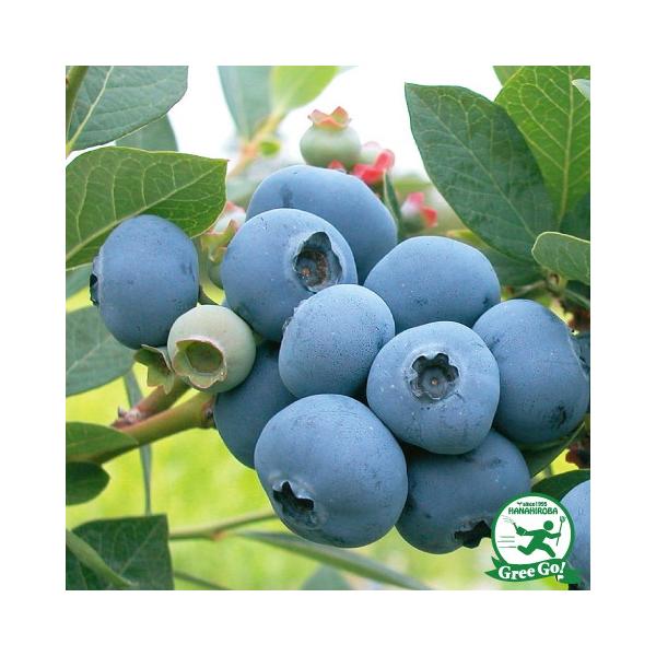  u[x[ c yEFC}EX im[UnCubVnjz 2N }ؕc ij[ܕtj kCE͑KpOłB