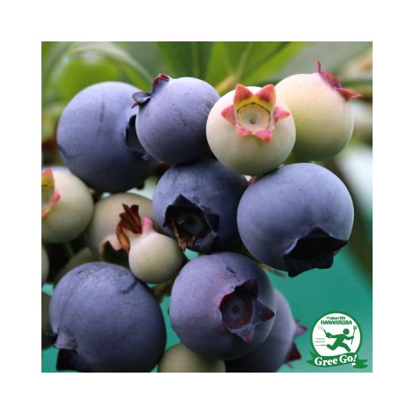 u[x[ c ym[Xh im[UnCubVnj z 2N }ؕc