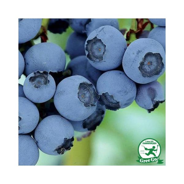  u[x[ c yRr im[UnCubVnjz 2N ڂؕc ij[ܕtj kCE͑KpOłB