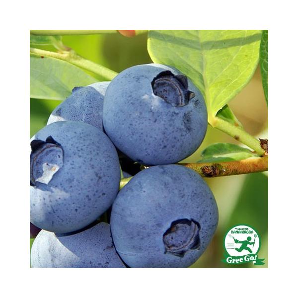  u[x[ c yfLV[ im[UnCubVnjz 2N }ؕc ij[ܕtj kCE͑KpOłB