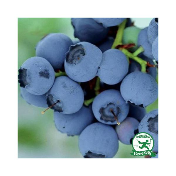 u[x[ c y}OmA iTUnCubVnjz 2N }ؕc