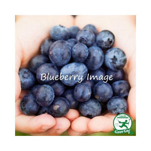  u[x[ c yTv\ iTUnCubVnjz 2N ڂؕc ij[ܕtj kCE͑KpOłB