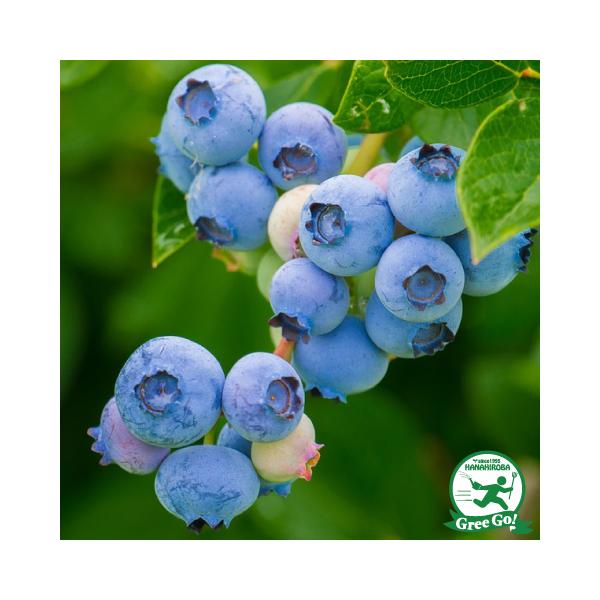 u[x[ c yn[o[h im[UnCubVnjz 1N }ؕc