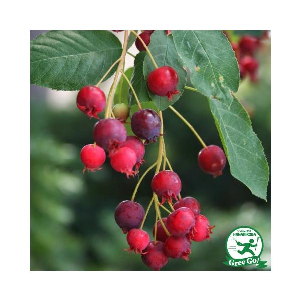  W[x[ c yo[iz ڂؕc ij[ܕtj kCE͑KpOłB