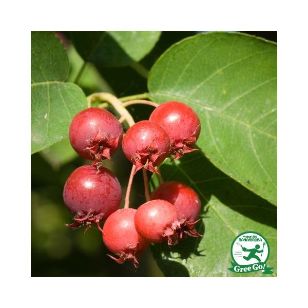  W[x[ c yrq iWsNԁjz ڂؕc ij[ܕtj kCE͑KpOłB